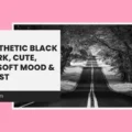 Aesthetic Black PFP