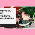 Deku PFP