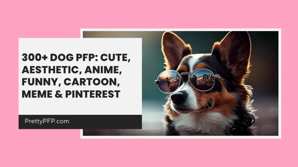 Dog PFP