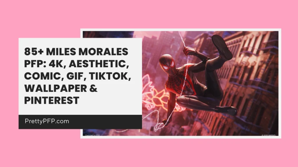 Miles Morales PFP