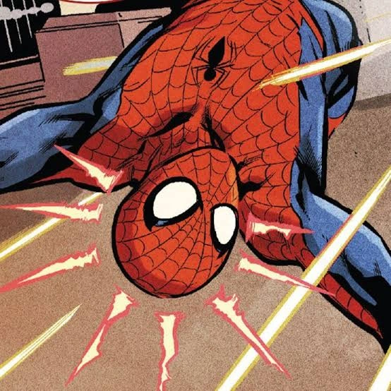 Spider Man PFP