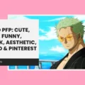 Zoro PFP