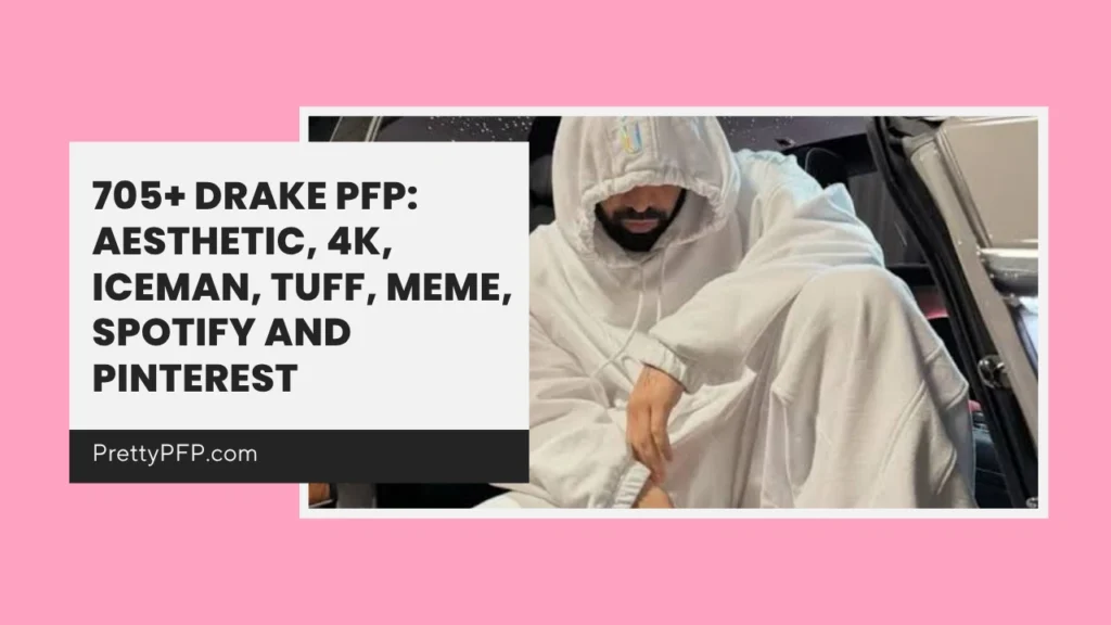 Drake PFP