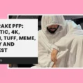 Drake PFP