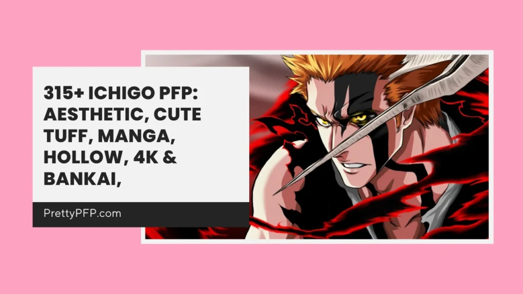 Ichigo PFP