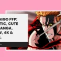 Ichigo PFP