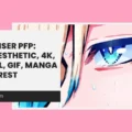 Kaiser PFP