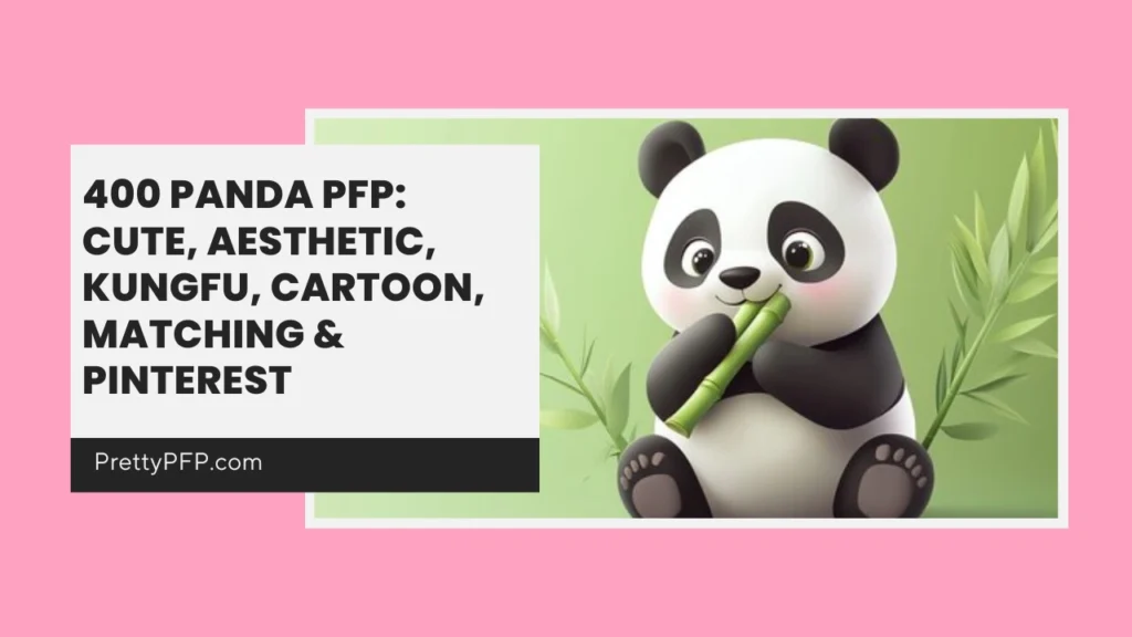 Panda PFP