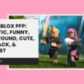 Roblox PFP