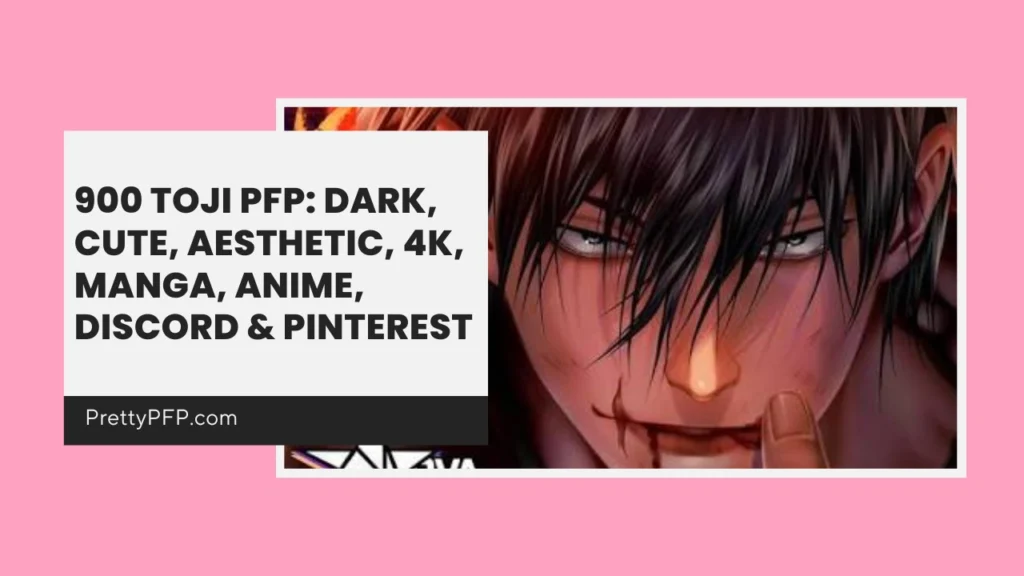 Toji PFP